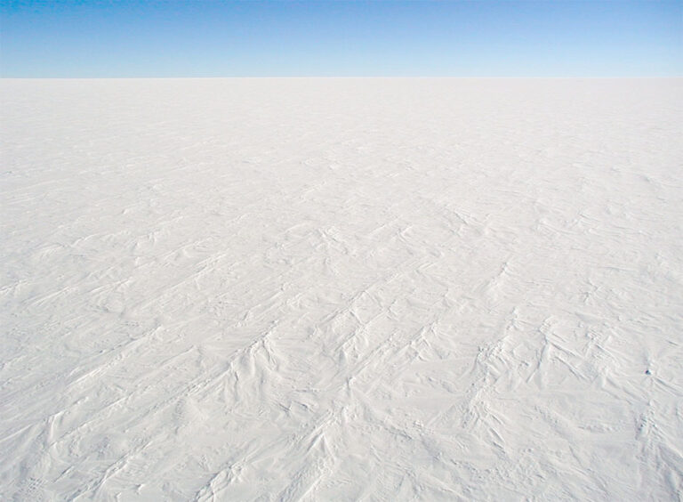 Antarctic ice dome snow — Les huîtres de Nouvelle-Angleterre meurent l'hiver