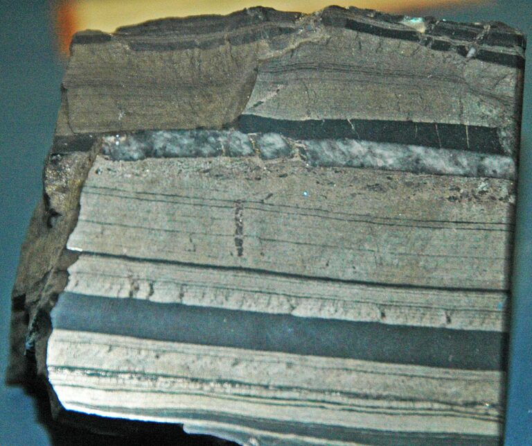 Banded fine-grained pyrite in shale (Urquhart Shale, Mesoproterozoic; Mt. Isa Mines, Queensland, Australia) (18940551220) — Du lithium caché dans les roches de schiste