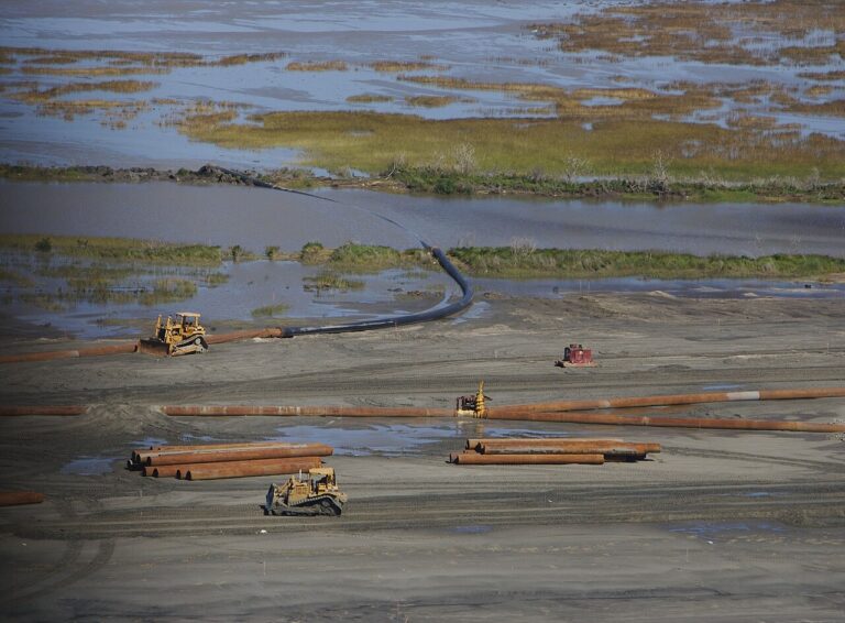 Coastal Wetlands Restoration After Katrina (20661627496) — Sanctuaires marins : vos mains dans l'eau comptent