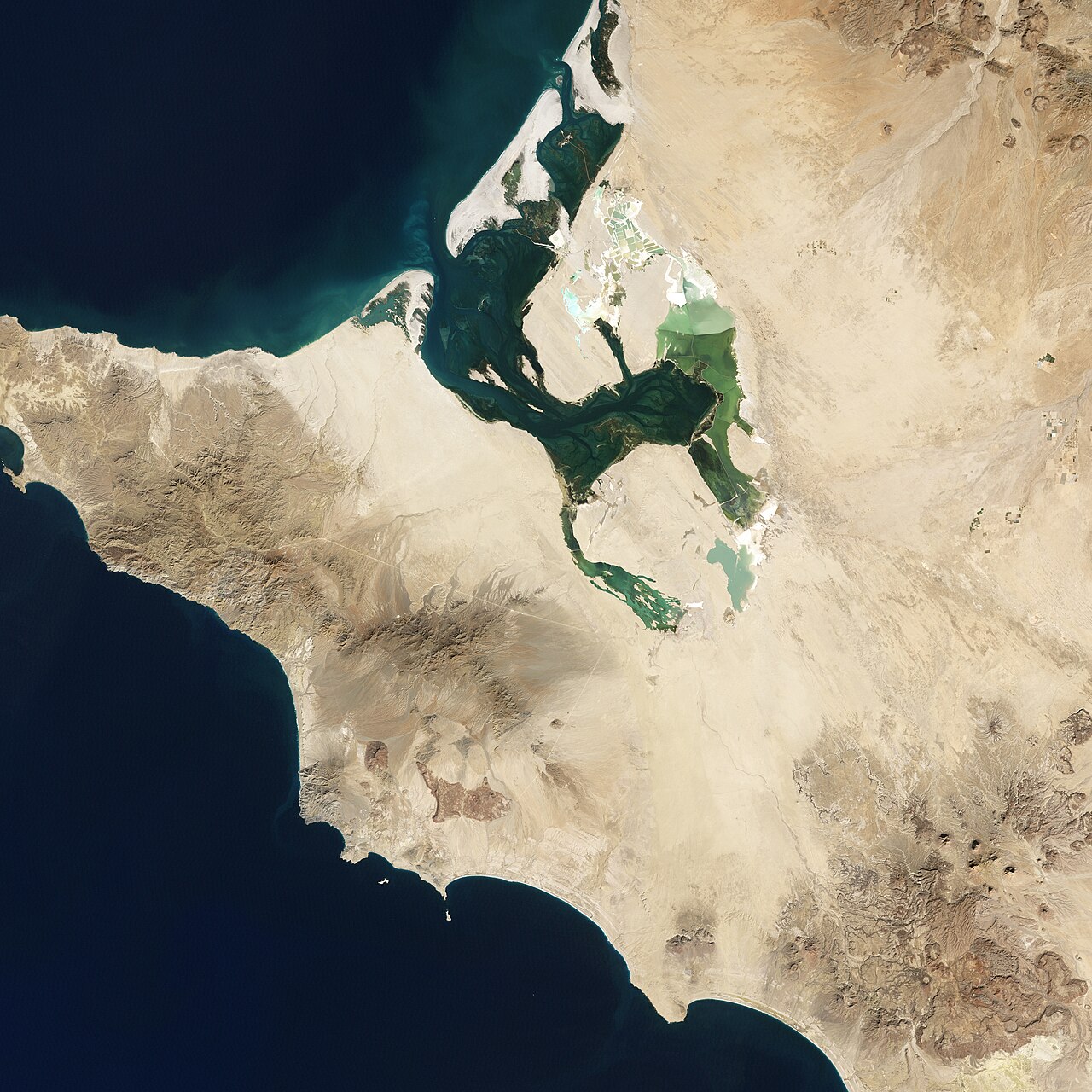 El Vizcaíno Biosphere Reserve Landsat picture big — Baleines grises : quand la faim mène au piège
