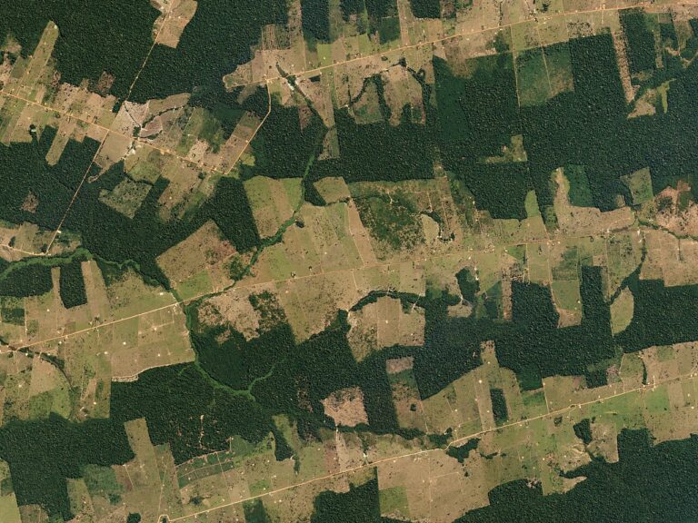 Forest and Fields, Rondônia, Brazil by Planet Labs — Déforestation détectée 100 jours plus tôt par satellite