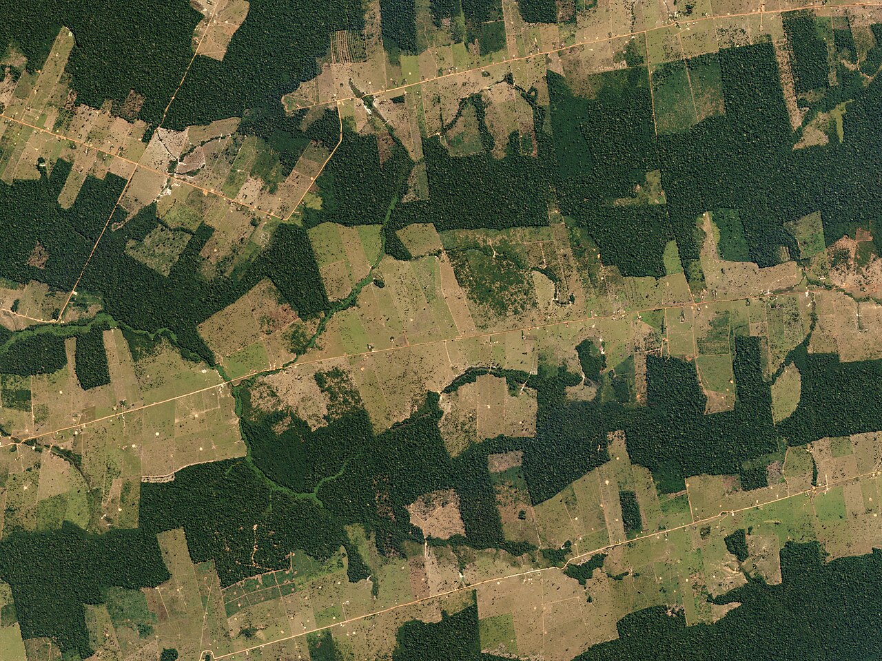 Forest and Fields, Rondônia, Brazil by Planet Labs — Déforestation détectée 100 jours plus tôt par satellite