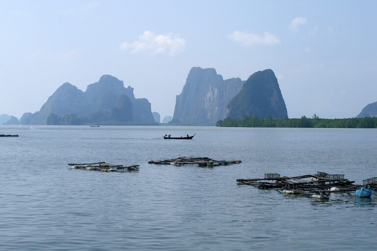 Phang Nga Bay, Karst islands, Thailand — Krabi vu du ciel : la côte thaï sous l'oeil de la NASA